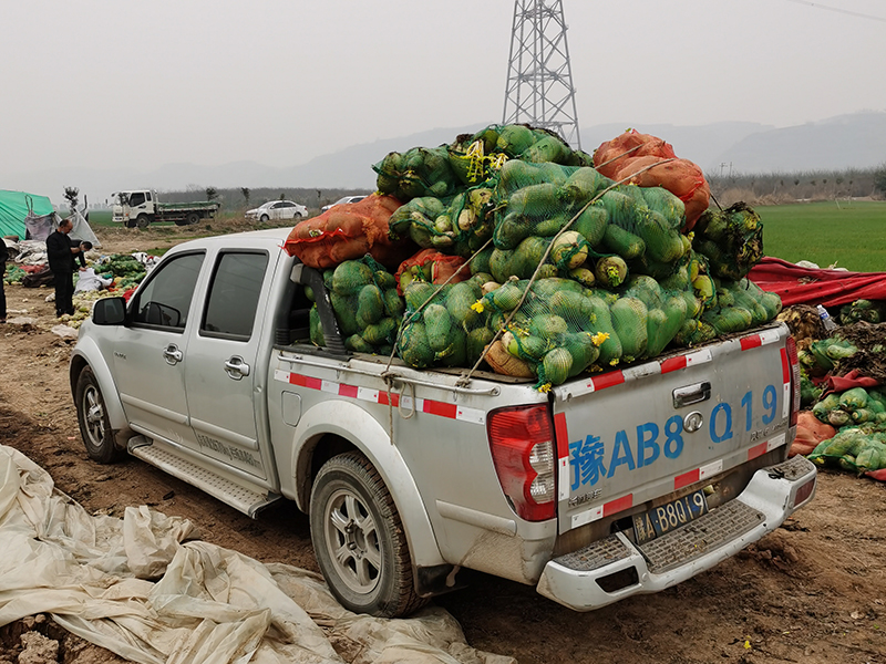 新冠疫情期間，幫扶蘿卜滯銷(xiāo)戶(hù)
